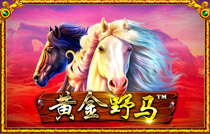 新宝5娱乐登录入口